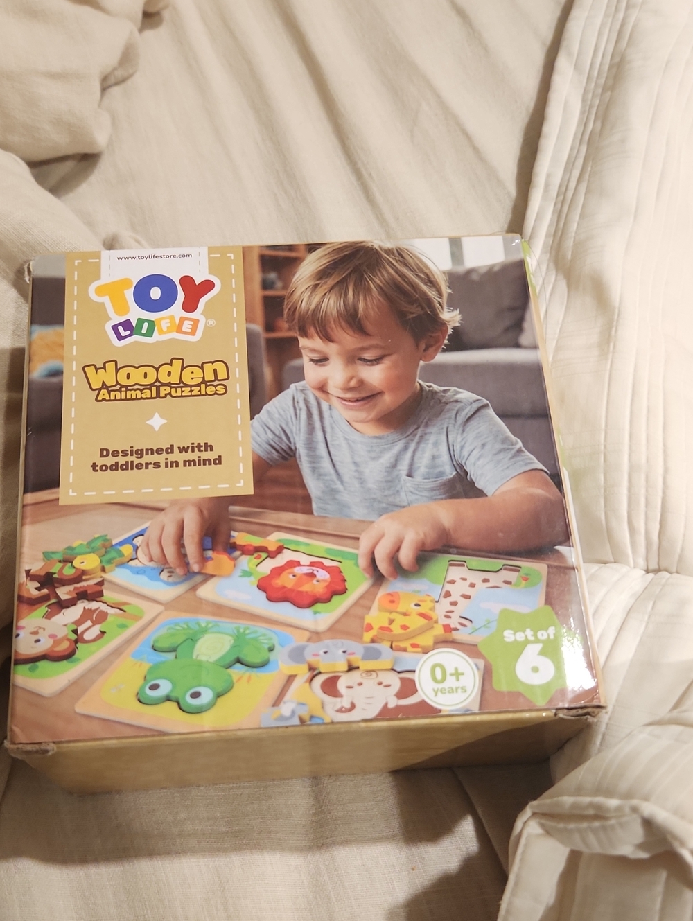 Wooden Puzzles (Set Of 6 Plus 2)